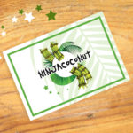ninjacoconut-bon-cadeau-palmier